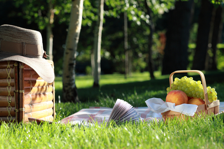 Picnic basket with food and drinks in summerの写真素材