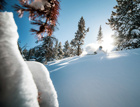 Skiing. Jumping skier. Extreme winter sports.の写真素材