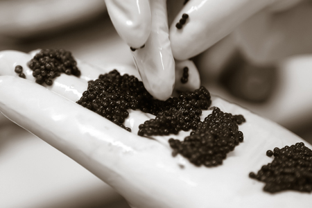 Black caviar spreadingの写真素材