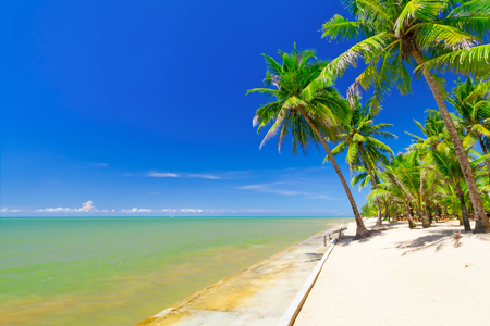 Tropical beach backgroundの写真素材