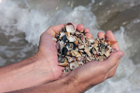 whole handful of small sea shells on the sea shore of italian adriatic seaの写真素材