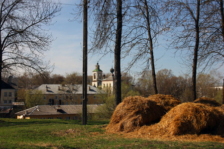 russian provincial landscape - golden haystack in the green meadow in the background of provincial...