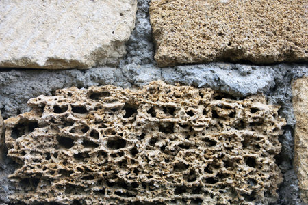 old dilapidated shabby coquina rock in masonry of wall foreground closeup in Crimeaの写真素材