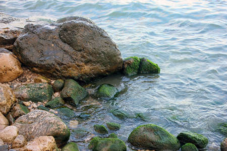 beautiful picturesque wild Black sea coast with boulders and rocks with green ooze in sea waterの写真素材