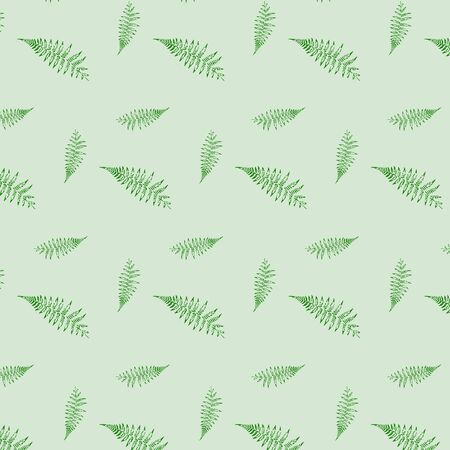 Pattern of fernのイラスト素材