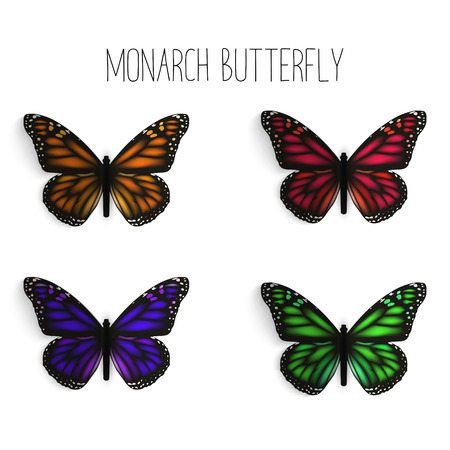 Set of realistic monarch butterflies in different colors.のイラスト素材