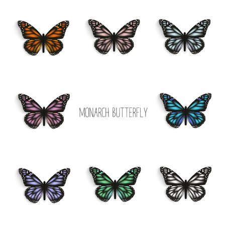 Set of realistic monarch butterflies in different colors.のイラスト素材