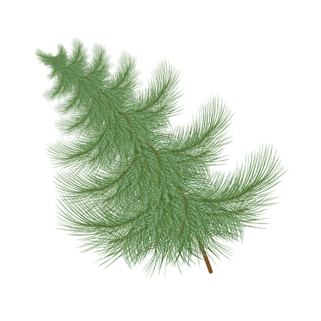 Fluffy green Christmas tree tilted to the side.のイラスト素材