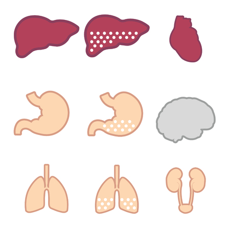 Set of internal organs: liver, lungs, brain, kidneys, heart. Liver injury, pulmonaryのイラスト素材