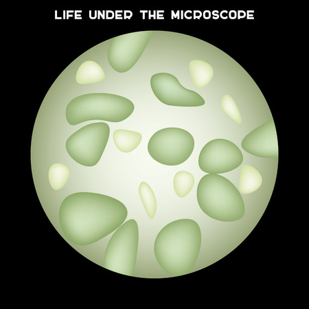 microorganisms under microscopeのイラスト素材