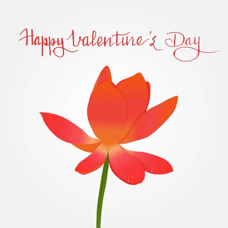 Hand written quote Happy Valentine's day and red water lilyのイラスト素材