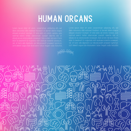 Human internal organs concept with thin line icons. Vector illustration for banner, web page, print media.のイラスト素材