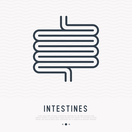 Intestines thin line icon. Modern vector illustration of human internal organ.のイラスト素材