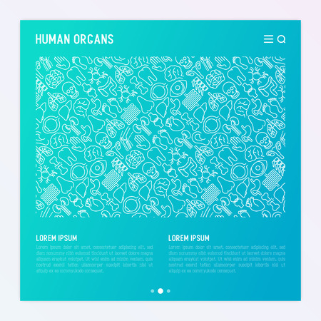 Human internal organs concept with thin line icons. Vector illustration for banner, web page, print media.のイラスト素材
