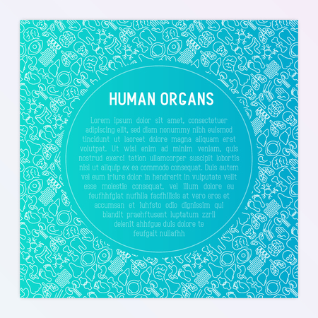 Human internal organs concept with thin line icons. Vector illustration for banner, web page, print media.のイラスト素材