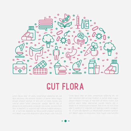 Gut flora concept in half circle with thin line icons.のイラスト素材
