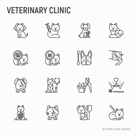 Veterinary clinic thin line icons set: blood transfusion, broken leg, protective collar, injection, cardiology, cleaning of ears, teeth, shearing claws, bandage on eye. Vector illustration.のイラスト素材