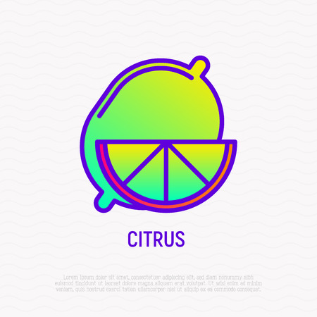 Citrus thin line icon. Modern vector illustration of lemon.のイラスト素材
