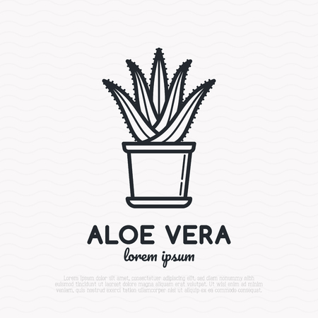 Succulent Aloe vera in pot. Thin line icon. Modern vector illustration of houseplant.のイラスト素材
