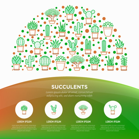 Cactus and succelents in pots concept in half circle with thin line icons. Modern vector illustration, web page template for shop of plants.のイラスト素材