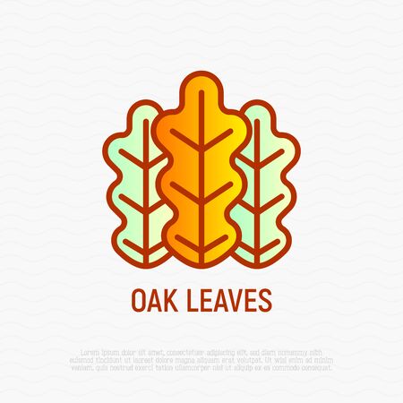 Oak leaves thin line icon. Modern vector illustration.のイラスト素材