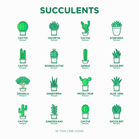 Cactus and succulents in pots thin line icons set. Modern vector illustration for shop of plants.のイラスト素材
