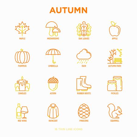 Autumn thin line icons set: maple, mushrooms, oak leaves, apple, pumpkin, umbrella, rain, candles, acorn, rubber boots, raincoat, pinecone, squirrel. Modern vector illustration.のイラスト素材