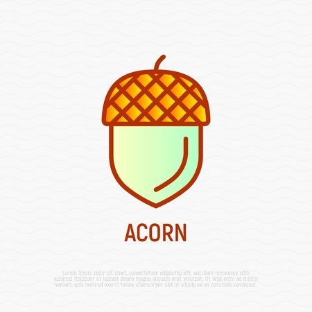 Acorn thin line icon. Modern vector illustration.のイラスト素材