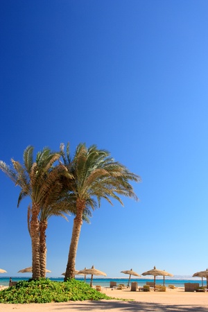 blue sky and umbrellas on the beachの写真素材