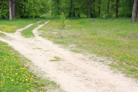 Spring landscape with dirt road and dandelions meadow. Finland.の写真素材