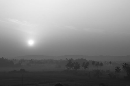 Tropical sunrise  India, Goa retro-styled photo with smooth transitions from dark to light  の写真素材