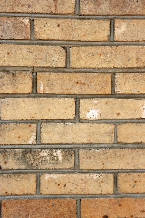 The facade view of beige brick wall.の写真素材