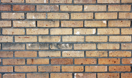 Old brick wall.