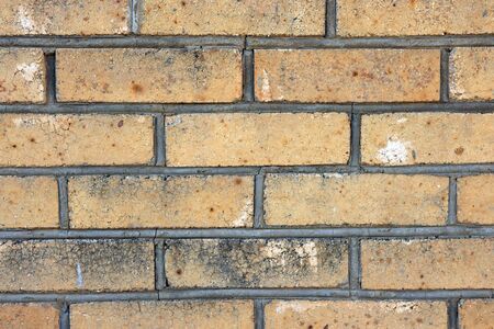 Old brick wall の写真素材