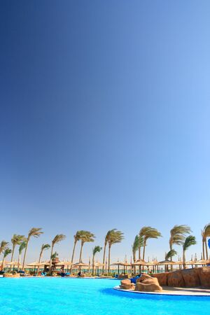 Tropical park and pool  Morocco のeditorial素材