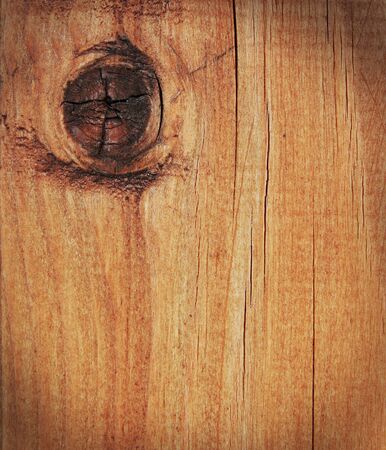 Natural wooden texture with a branch の写真素材