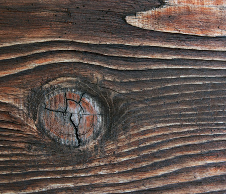 Brown wooden plank close-up  Wooden background with a branch 