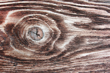 Brown wooden plank close-up. Wooden background with a branch.
