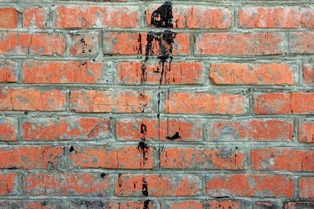 Red brick wall background. Dirty wall with black spots. の写真素材