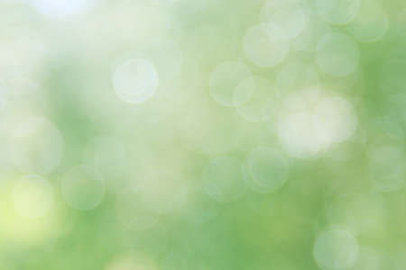 Gree abstract background. Summer light. の写真素材