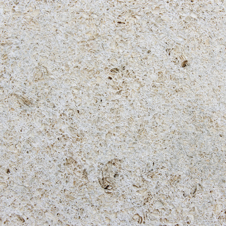 Coquina texture. Old wall with natural pattern.の写真素材