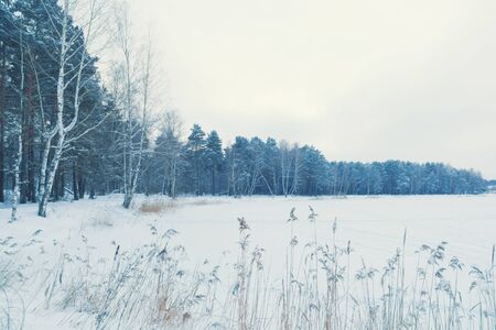 Beautiful winter landscape in magic sunset light.の写真素材