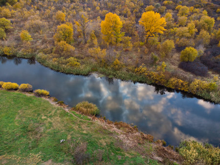 autumn landscape with river and yellow trees