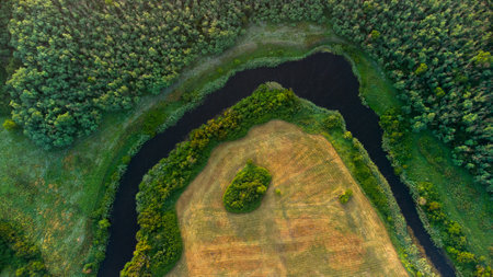 aerial photography of the river and forest, top viewの写真素材