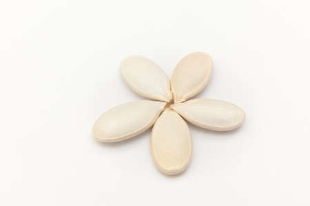 Five unpeeled pumpkin seeds on a white backgroundの写真素材