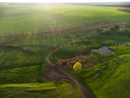 beautiful natural landscape green field and lakeの写真素材