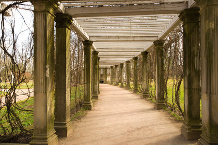 Beautiful alley with ancient columnsの写真素材