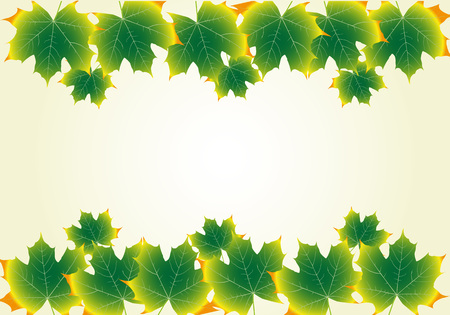 Autumn Leaves Set, Vector Illustration, october colorfulのイラスト素材