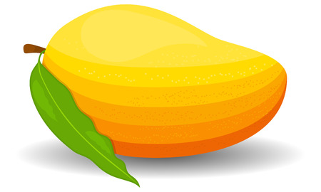 Mango ripe juicy sweet one whole tropical natural healthy exotic fruit with leaf. Vector beautiful closeup side view square colorful food sign, icon isolated on white background.のイラスト素材
