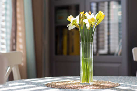 Spring narcissus in the waterの写真素材